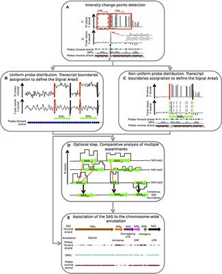 PIPE-chipSAD: A Pipeline for the Analysis of High Density Arrays of Bacterial Transcriptomes